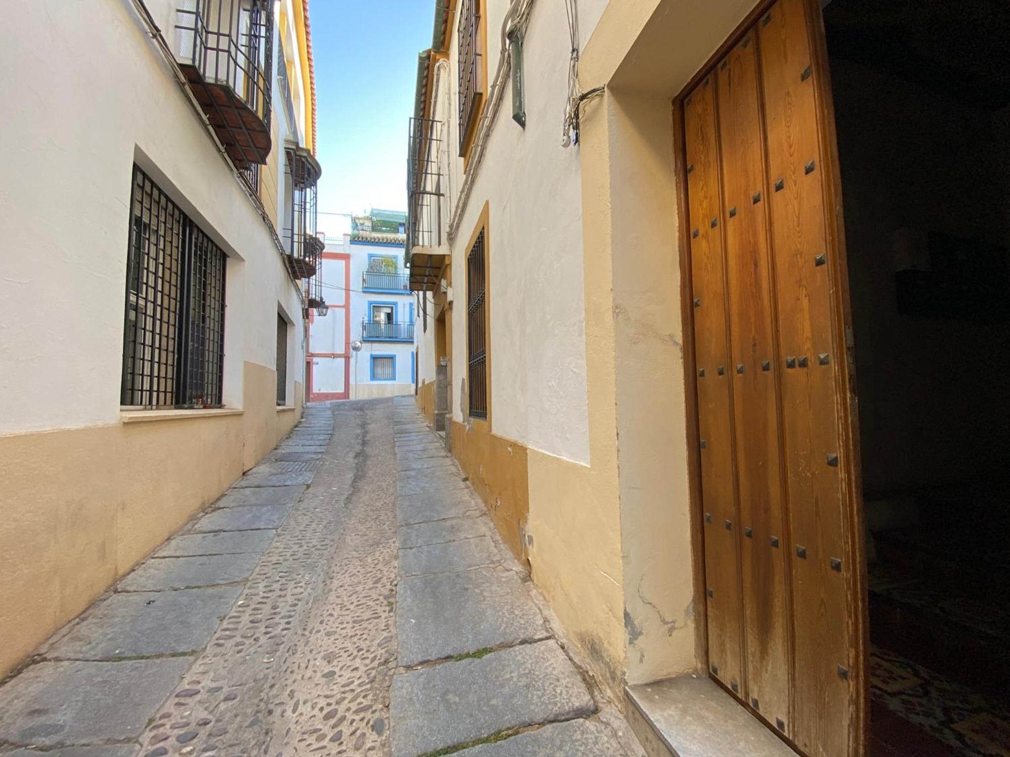 Suites Del Mar Y Suite De Cordoba - Apartmentos En Pleno Centro Exterior foto