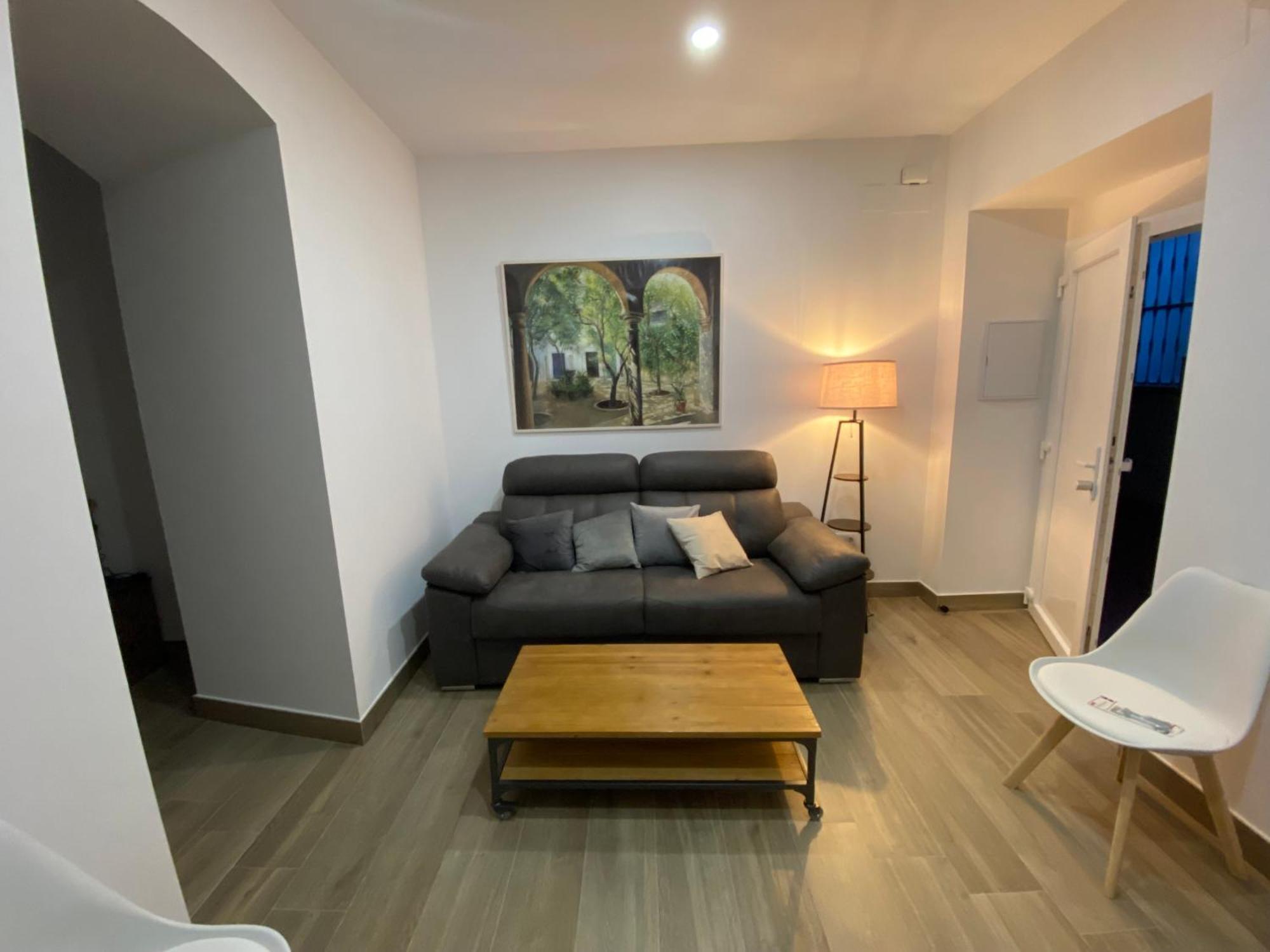 Suites Del Mar Y Suite De Cordoba - Apartmentos En Pleno Centro Exterior foto